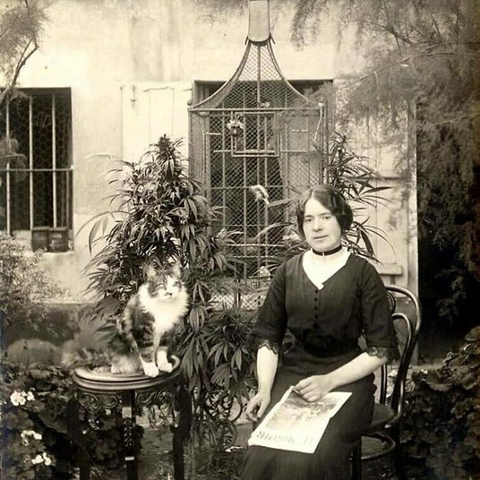 Vintage photo of a woman with a cat on a stool, showing pets as cherished family members in a garden setting.