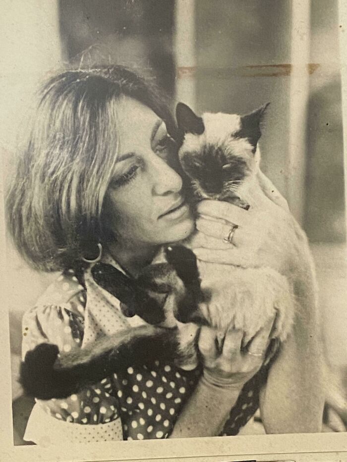 My Grandma Holding A Siamese Cat In The 70’s