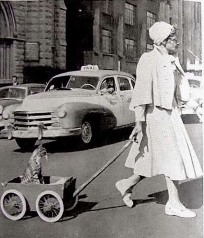 Vintage photo of a woman strolling with her cat in a small wagon, showing pets as family in a classic city scene.