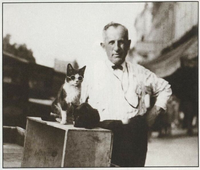 Vintage photo of a man with a cat wearing sunglasses, highlighting pets as beloved family members.