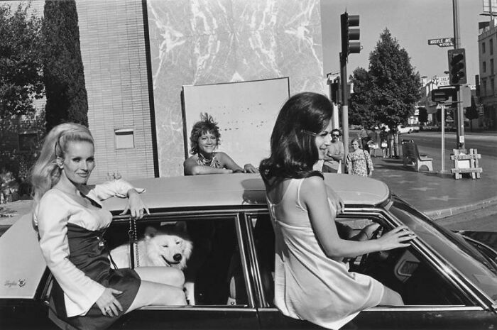 The Coolest Dog In Town! Photo By Lee Friedlander, Hollywood, 1970