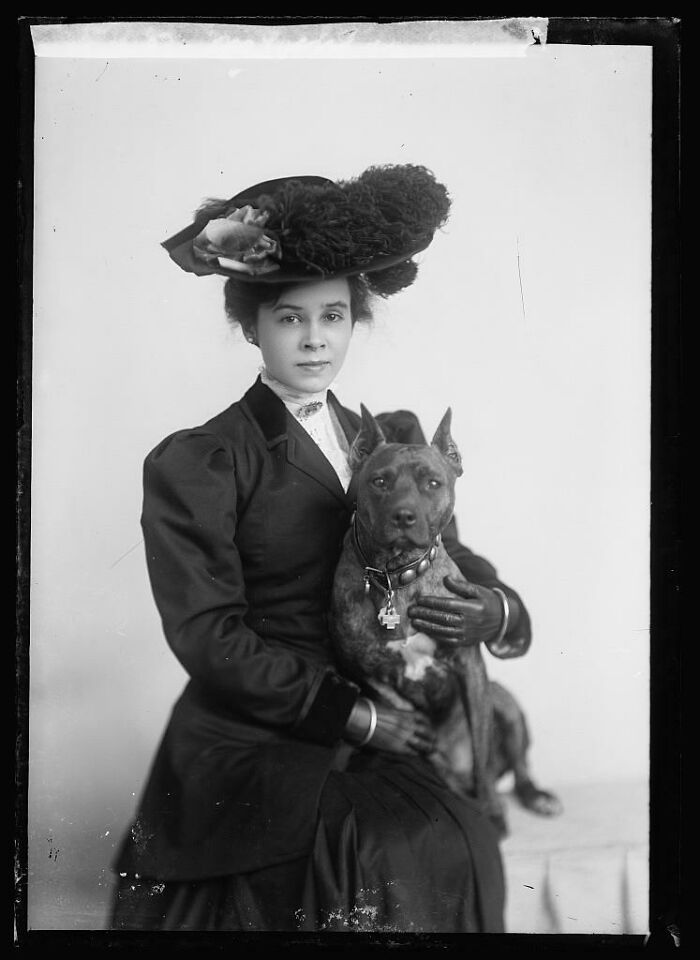 Edwardian Dog (And His Human). Ca. 1900-1905