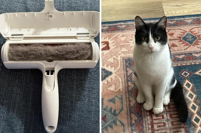 Roll Your Way To A Cleaner Home With This Chom Chom Roller And Pick Up All The Lint And Hair Like A Pro. Your Floors— And Your Pets—will Thank You!