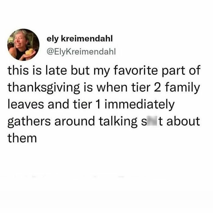 Funny meme about Thanksgiving family dynamics, shared by Ely Kreimendahl, highlighting tier 1 and tier 2 gatherings.