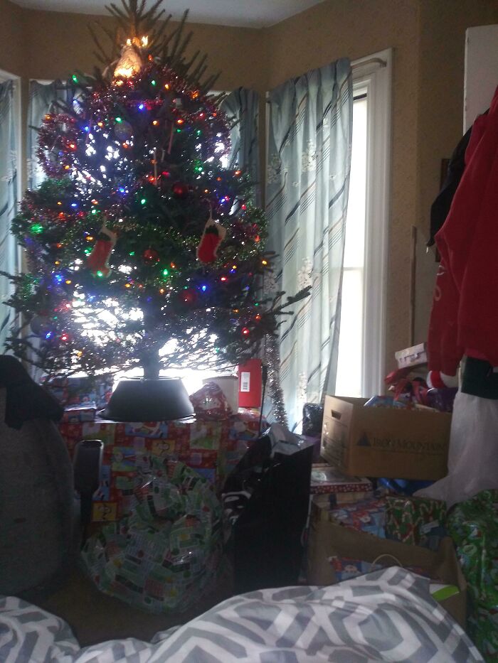 Christmas tree surrounded by gifts, sparking infuriating family members with cluttered decorations.