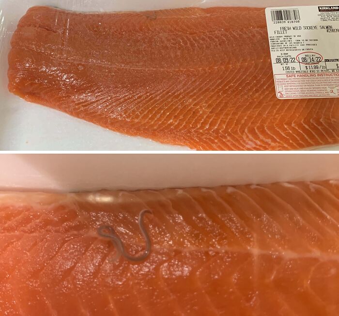Excited To Cook This Salmon When I Noticed This Lovely Worm Inside The Sealed Package