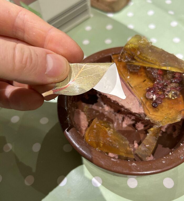 The Bay Leaf Inside My Pâté Was Actually Plastic With A Leaf Pattern Printed On It