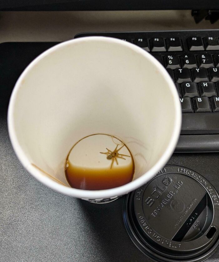 Just Finished My Coffee. I Have To Say This Is A First! I Actually Feel More Bad For The Little Guy Than I Am Grossed Out (Somehow)