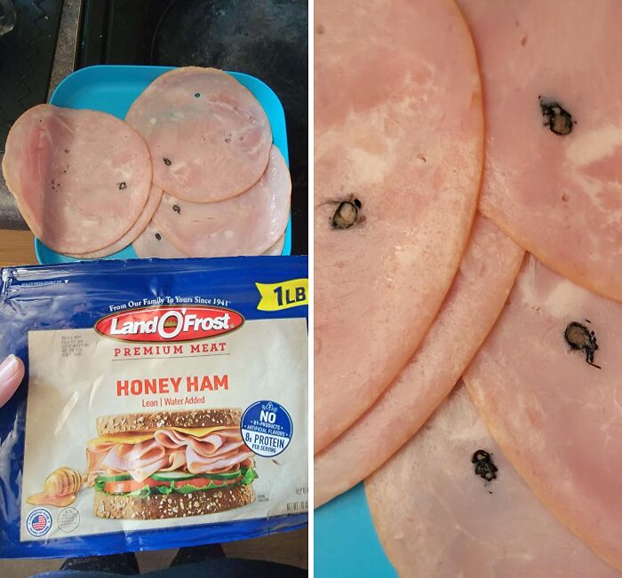 Lost My Appetite. Found This Spider In My Ham Today