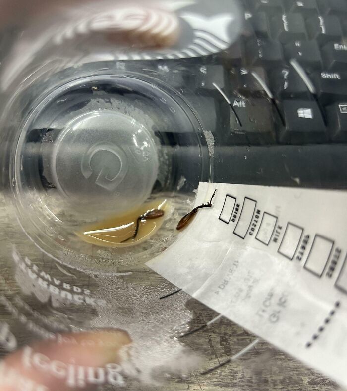 What A Special Treat As I’m Finishing Up My Coffee This Morning!