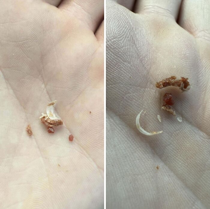 Fingernail Found In Buccees Beef Jerky