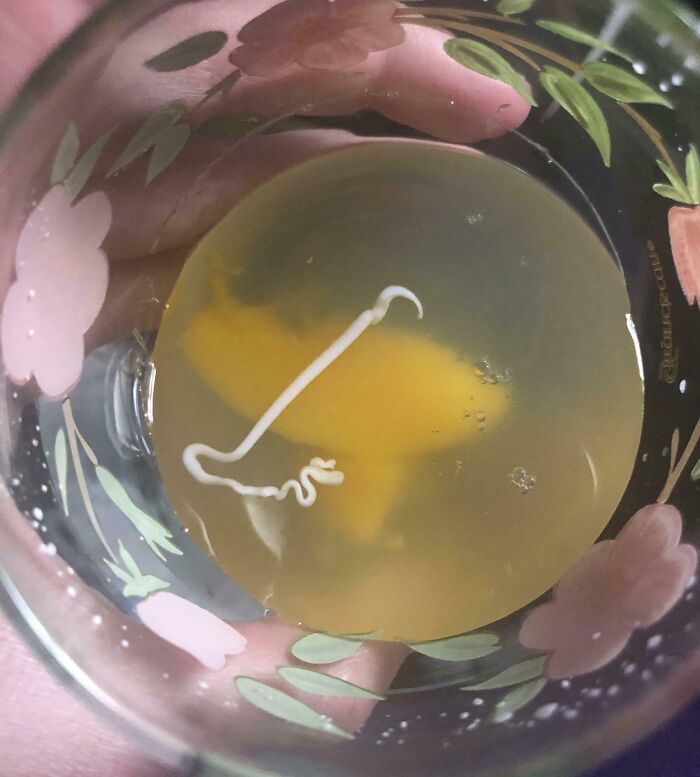 Guess Who Found A Worm In Their Can Of Peaches After They Already Ate Most Of The Can?