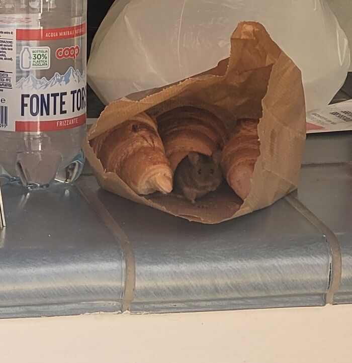 2 Minutes After I Bought My Breakfast And Left It Outside