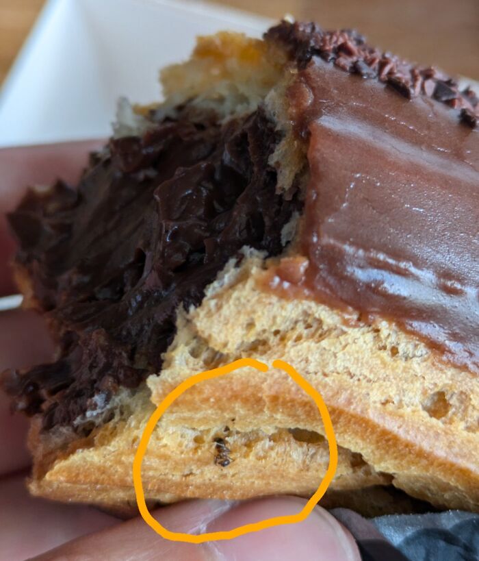 I Found An Ant In This Pastry After Having Eaten Most Of It