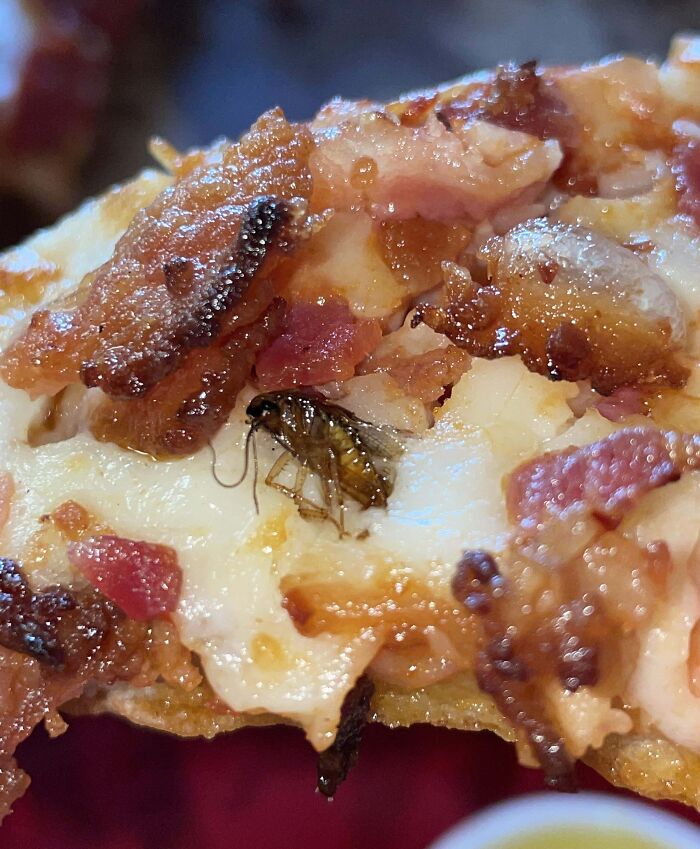 Dominos With A Little Roach