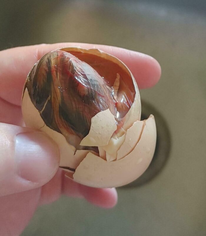 The Egg I Cracked For Breakfast Has An Almost Fully Developed Chick In It