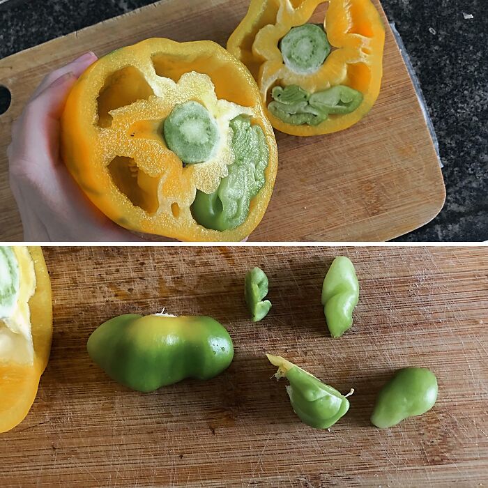 My Yellow Pepper Came With A Green Pepper Inside