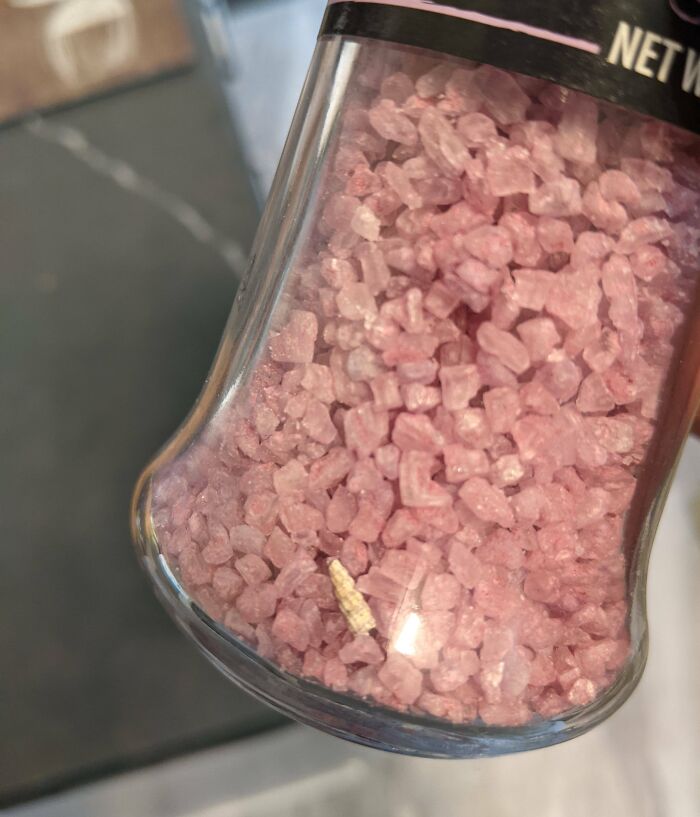 There Is A Small Shell In My Sea Salt Grinder