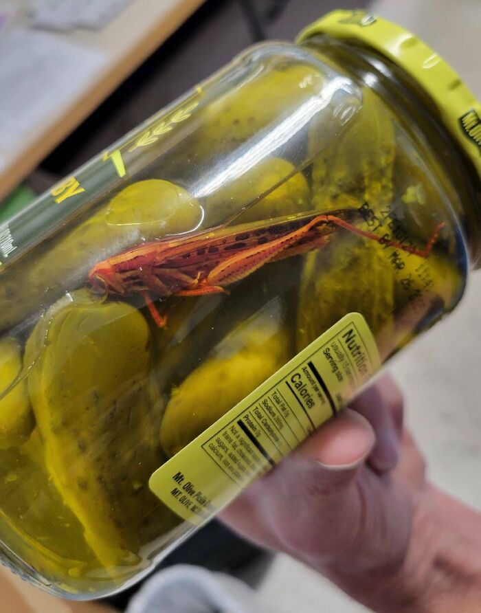 Did Some Maintenance At A Supermarket. They Showed Me A Return They Got Today