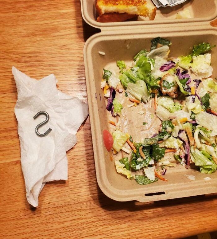 I Forgot To Ask For No Metal In My Pregnant Wife’s Salad