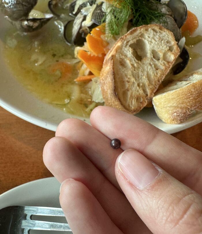 Found A Pearl In A Restaurant Manila Clam