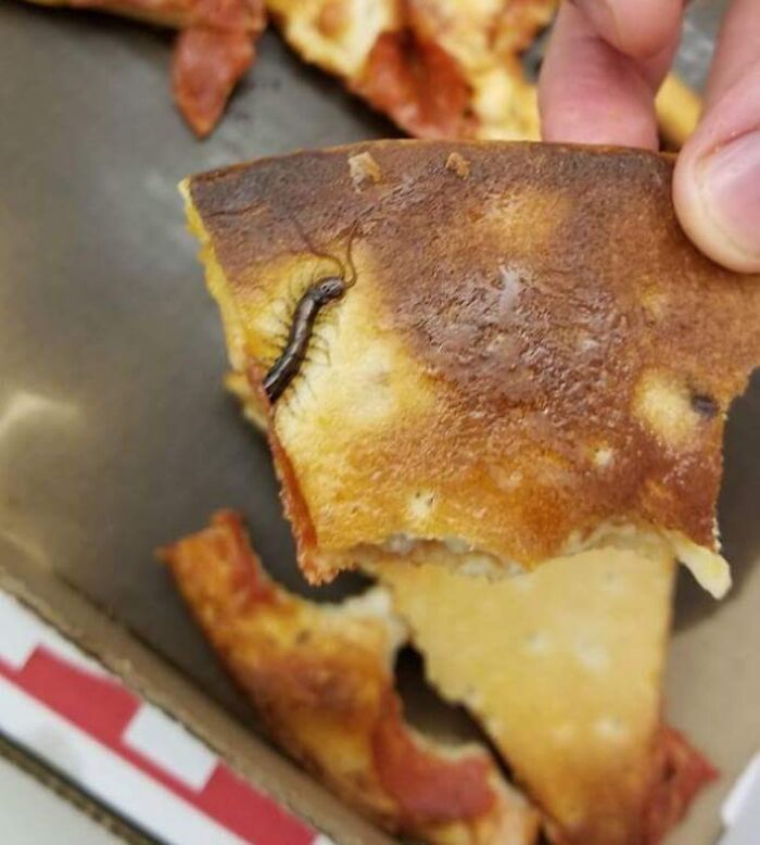 So My Friend Ordered A Pizza, Got This