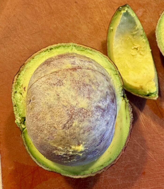 This Avocado I Got From A Farmers Market In Hawaii