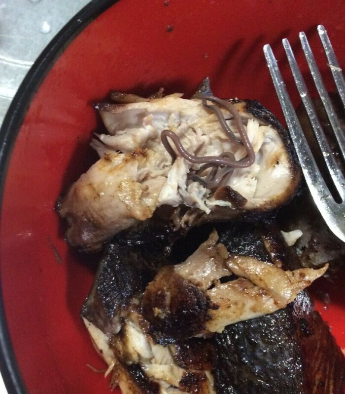 Cooking Tuna Filets. After Eating One, Found A Worm In My Second