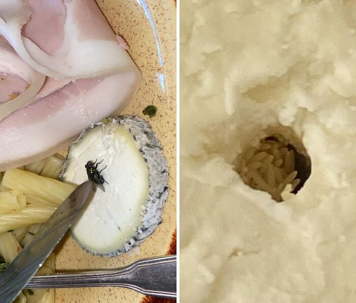 Fly Laid Eggs In Nieces Lunch