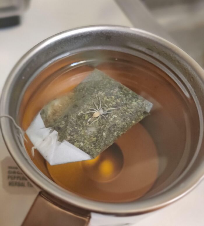 Went To Go Take A Sip Of My Tea