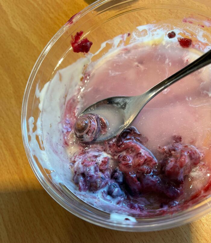 I Felt Something Hard While Eating