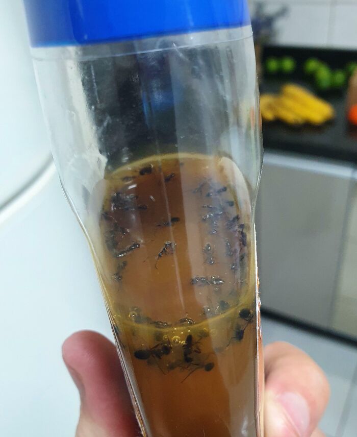 No Caramel For My Ice Cream I Guess