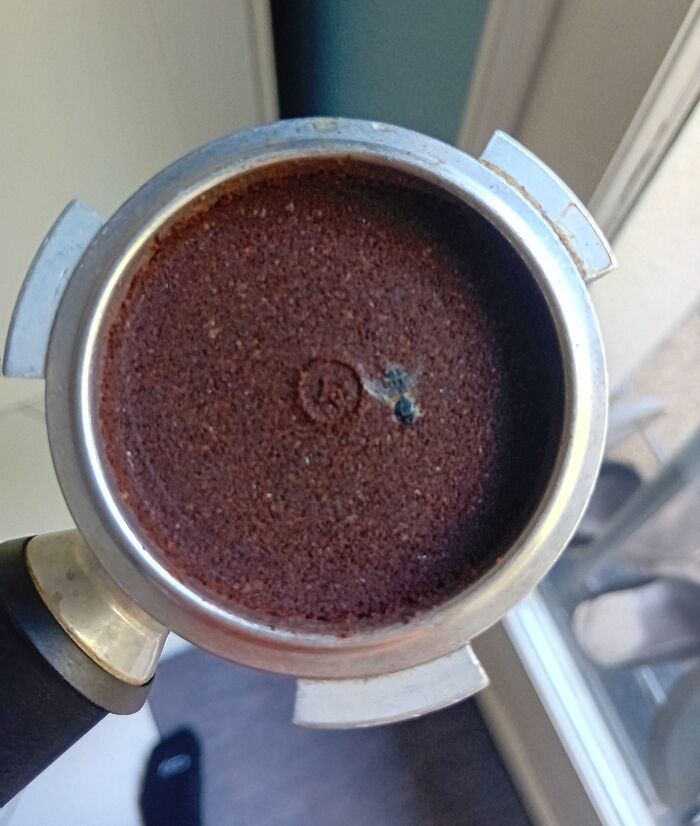 Was Emptying My Espresso Machine After Drinking. Saw This