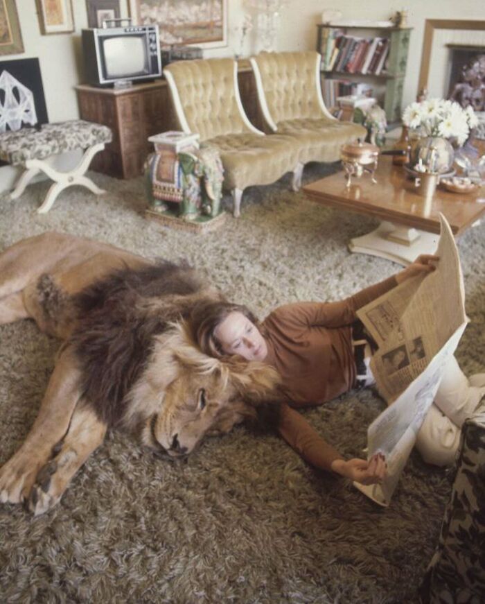 Person reading newspaper on floor with lion in vintage living room setting.