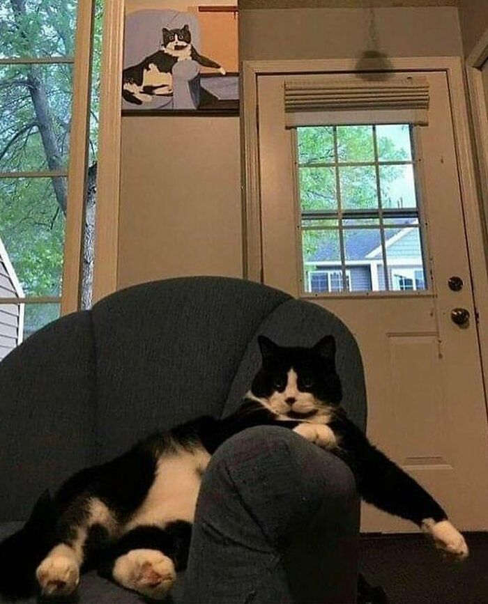 "The Snuggle Is Real": 50 Pics Of Animals Doing The Most Random Stuff (Best Of All Time)