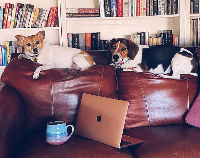 Girl Dreams Of Becoming An Author, Her Dream Unexpectedly Comes True 48 Years Later Girl Dreams Of Becoming An Author, Her Dream Unexpectedly Comes True 48 Years Later