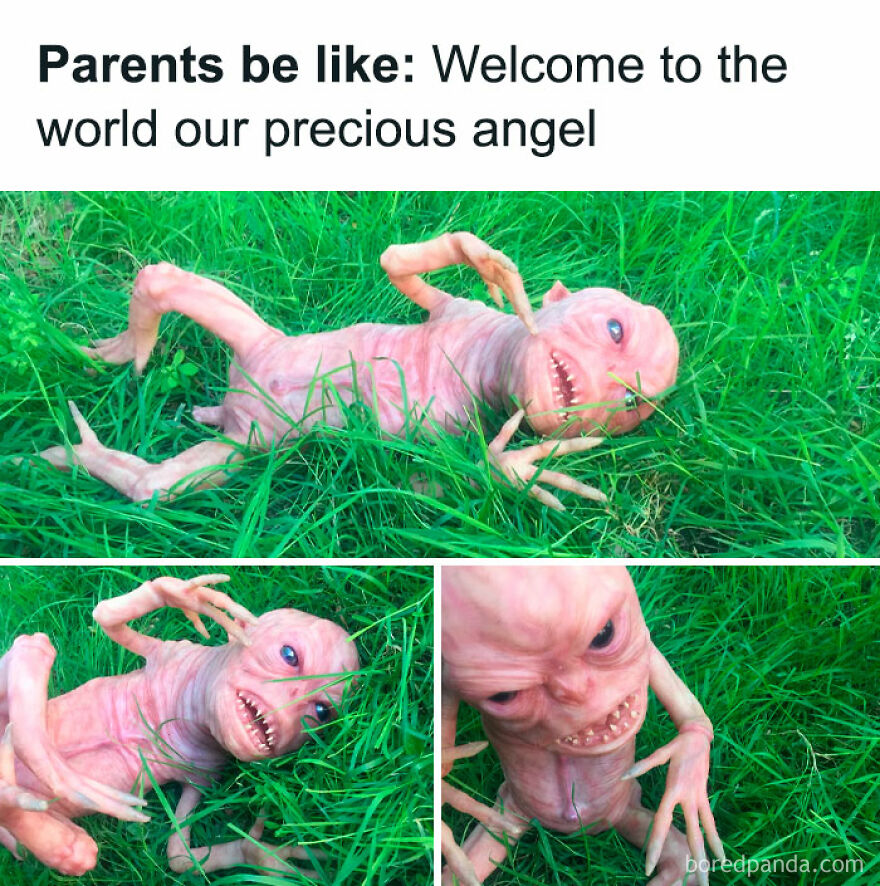 Strange creature lying in grass; humorous meme caption about parents.