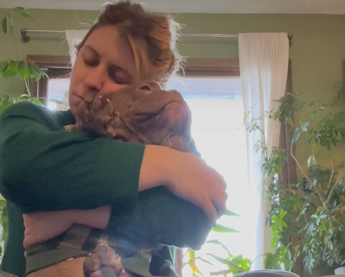 Lovely Pitbull Can&rsquo;t Stop Hugging Woman Who Gave Him Foster Home, Goes Viral When Pics Spread Online