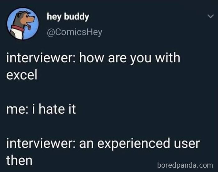 IT meme featuring a humorous exchange about Excel skills during an interview.