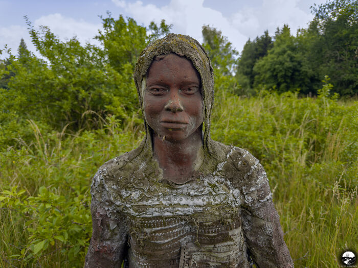 Moss-covered sculpture by Adam Szubski in a lush, overgrown outdoor setting.