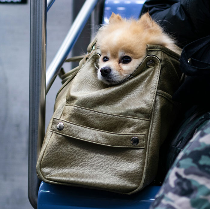 30 Hotel Workers Expose The Worst Guest Behavior They’ve Had The Displeasure Of Witnessing