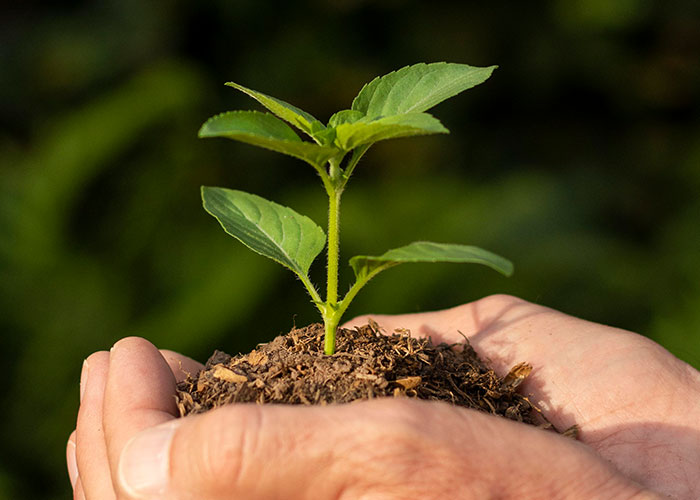 30 Trends That Made The ‘90s And ‘00s So Magical People Wish They’d Make A Comeback