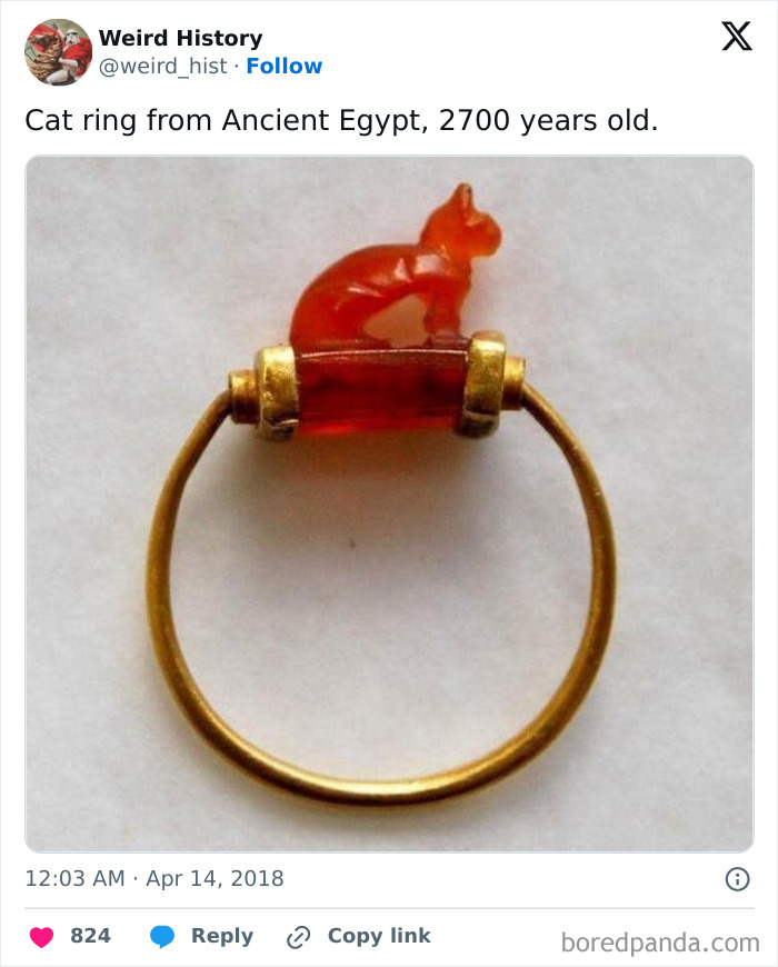 Best-All-Time-Weird-History