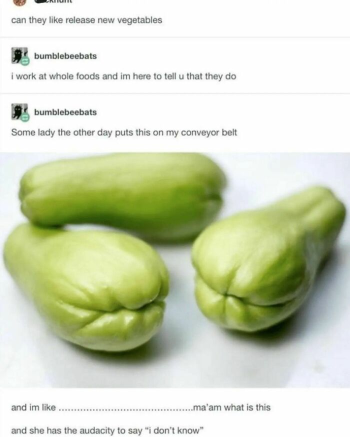 Funny-Tumblr-Jokes-Stoleitfromtumblr