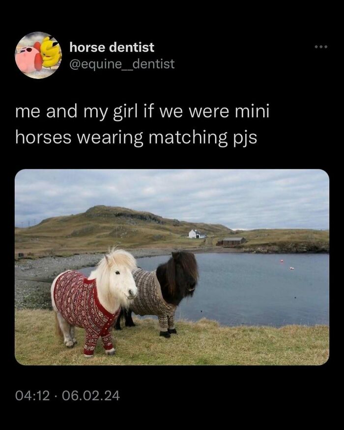 Mini horses in matching pajamas by a lakeside, creating a funny meme moment.
