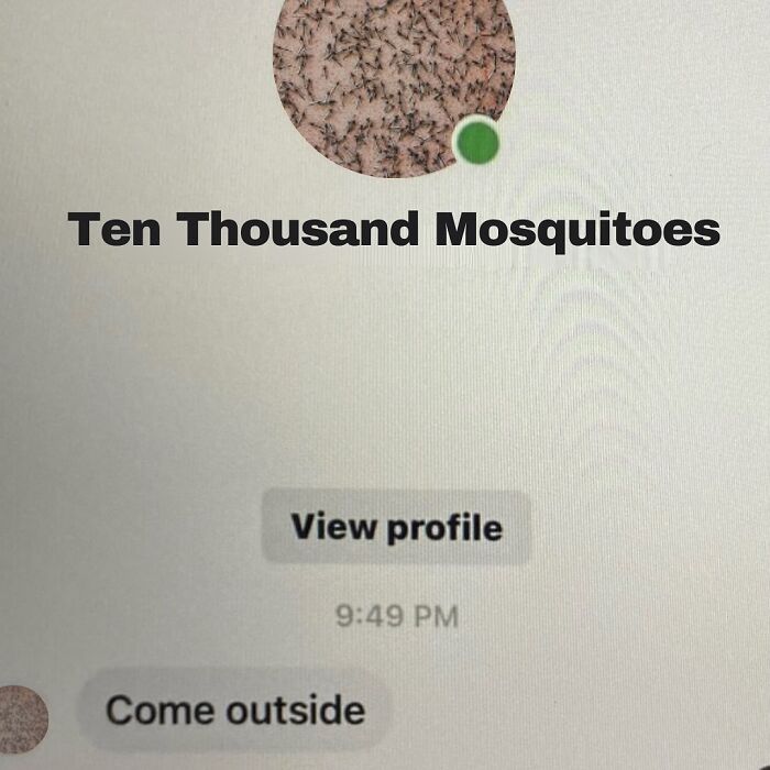 Text message from "Ten Thousand Mosquitoes" says "Come outside" in a Midwest-themed humorous context.