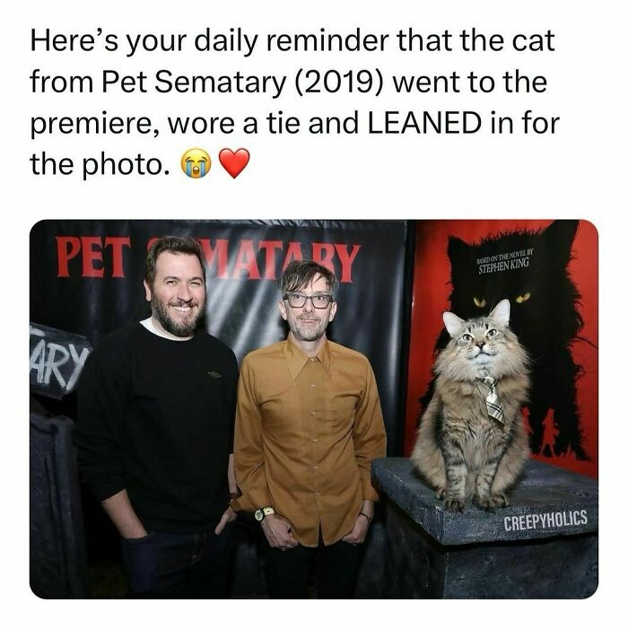 Two men and a cat in a tie at a Pet Sematary premiere, blending funny memes with a twist of horror.