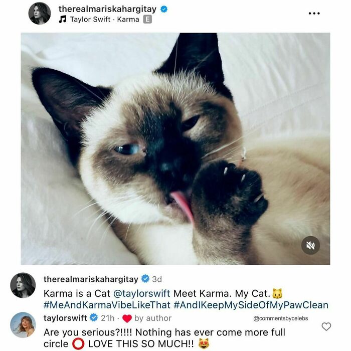 Cat licking paw with funny comment by a celeb about karma, Taylor Swift reacts enthusiastically with emojis.
