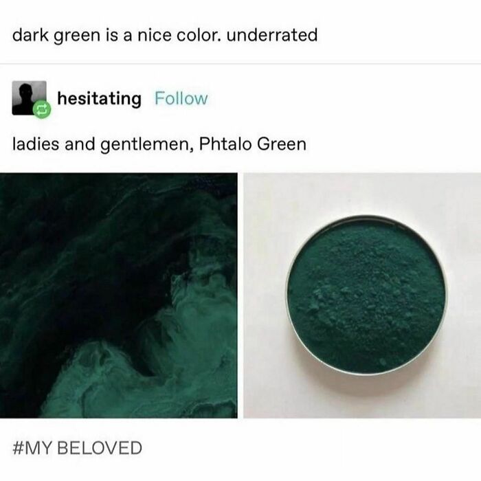 Funny meme using Phtalo Green, highlighting its underrated beauty with a humorous twist.
