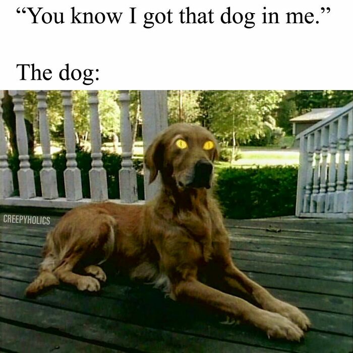 Creepy-Horror-Memes-Creepyholics